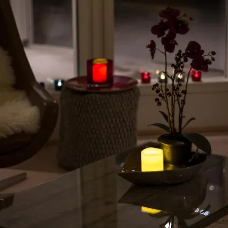 ☆ Northern Sky Panorama House With Private Beach ☆ Rovaniemi