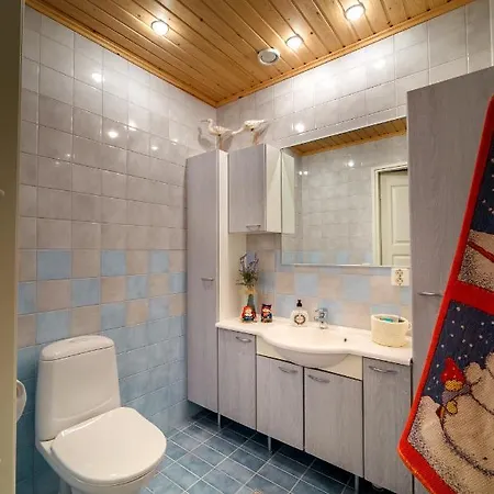 ☆ Northern Sky Panorama House With Private Beach ☆ Rovaniemi